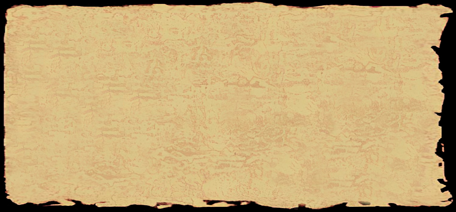 Fondo